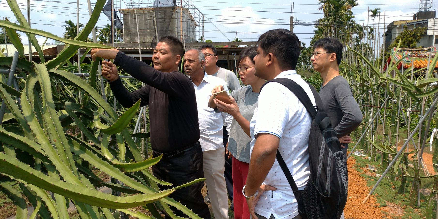 Meeting Mr weng of Taiwan.. master of dragonfruit farming